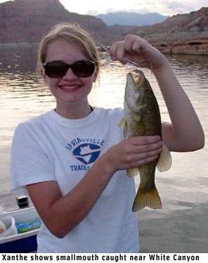 Lake Powell smallmouth