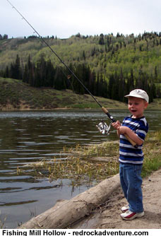 Mill Hollow Reservoir