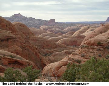 behind the rocks