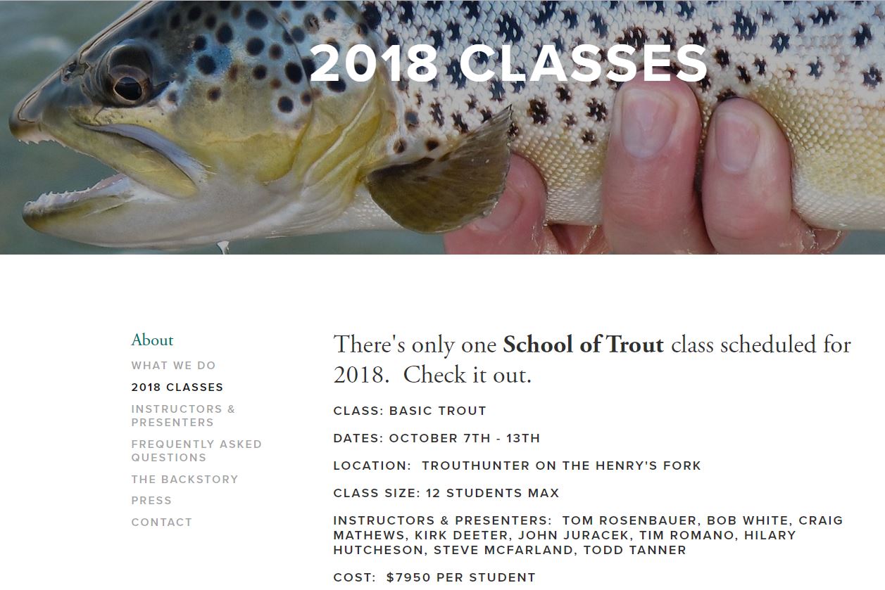 school of trout
