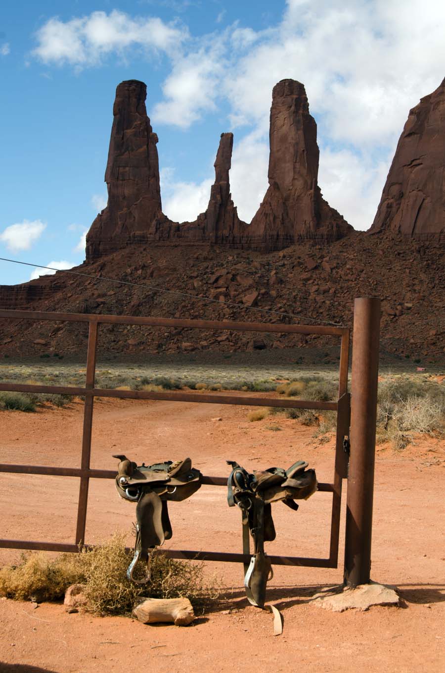 sisters saddles