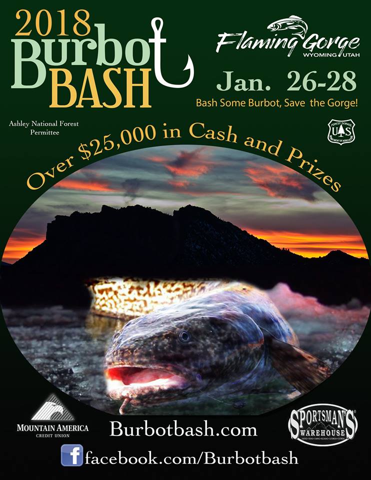 burbot bash