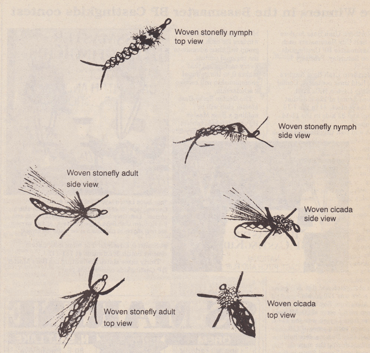 woven stonefly