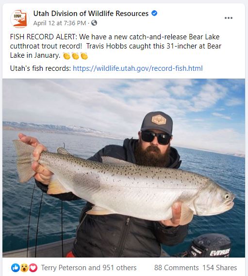 record bear lake cutthroat trout