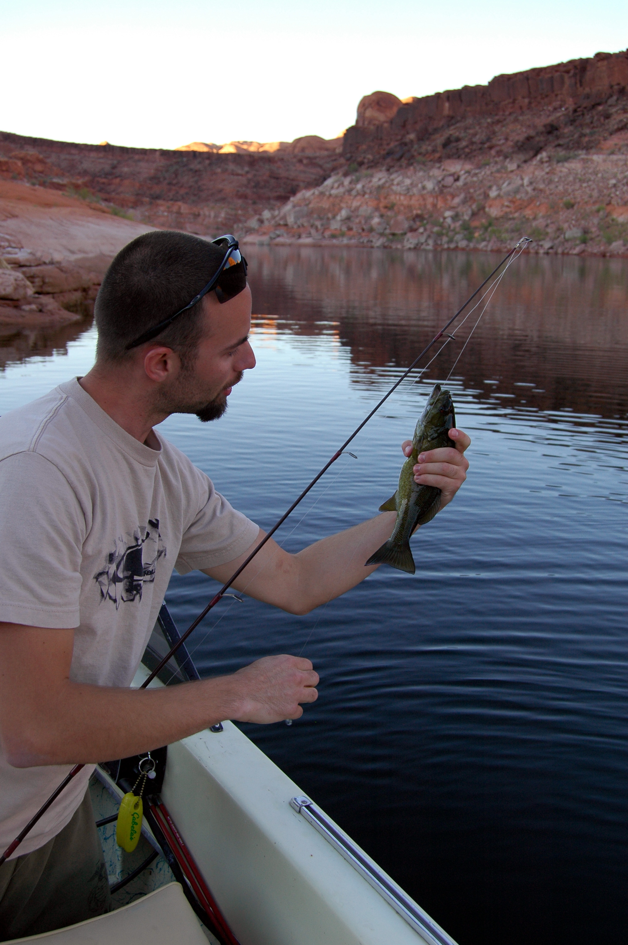 lake powell smallmouth