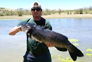 wyoming record state catfish