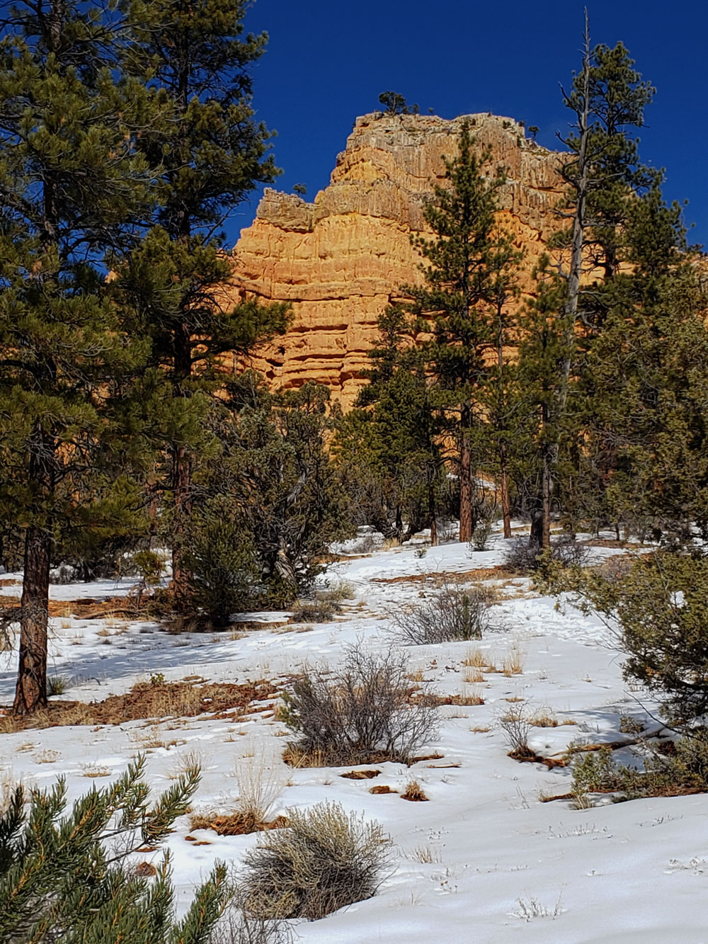 red canyon winter 1