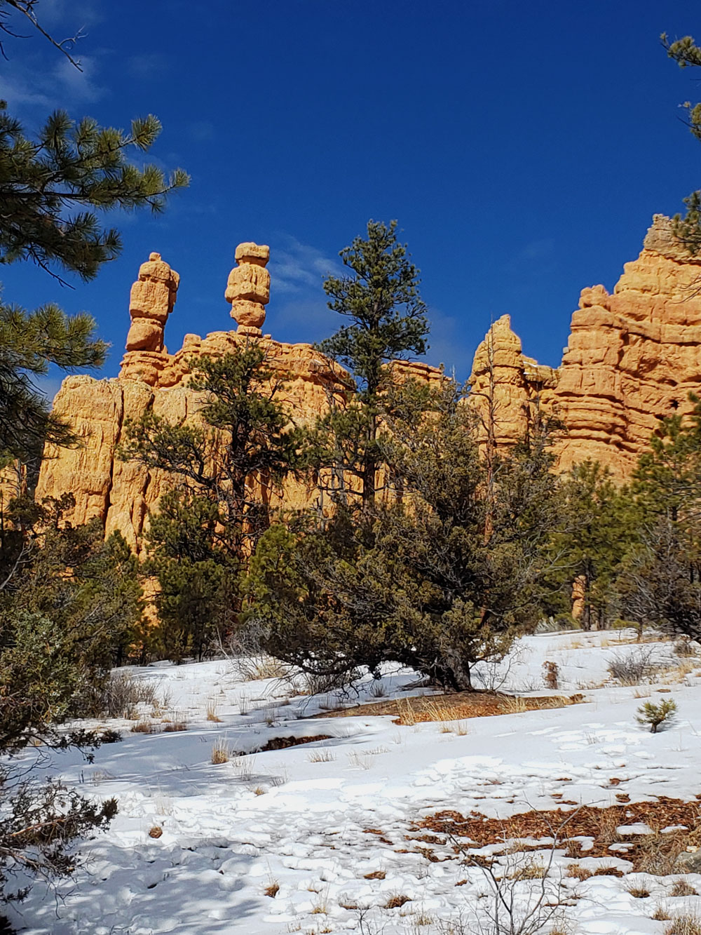 red canyon winter 2