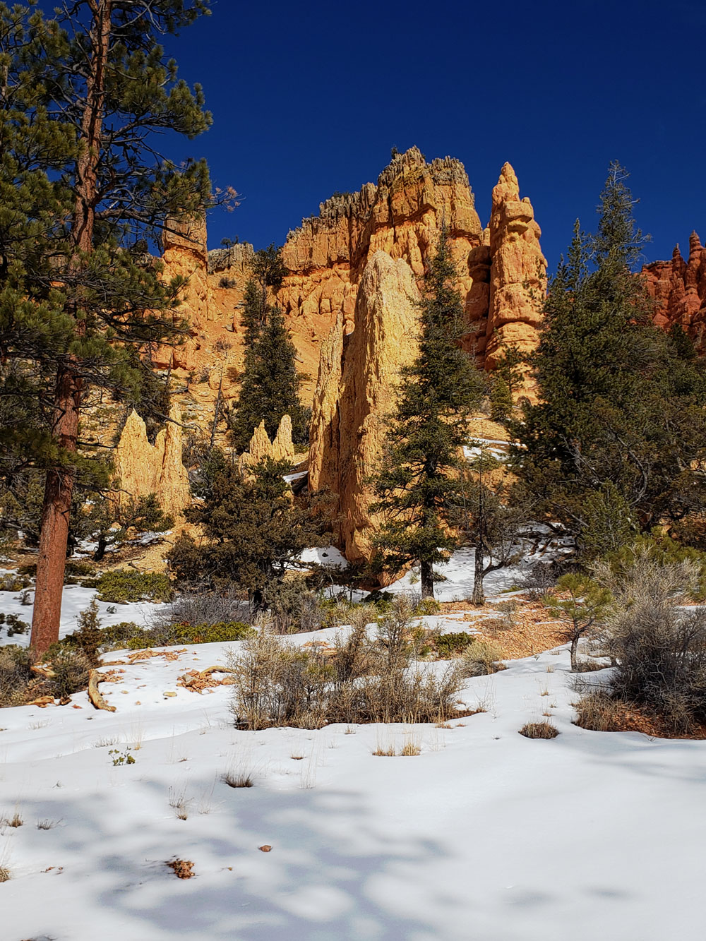 red canyon winter 3
