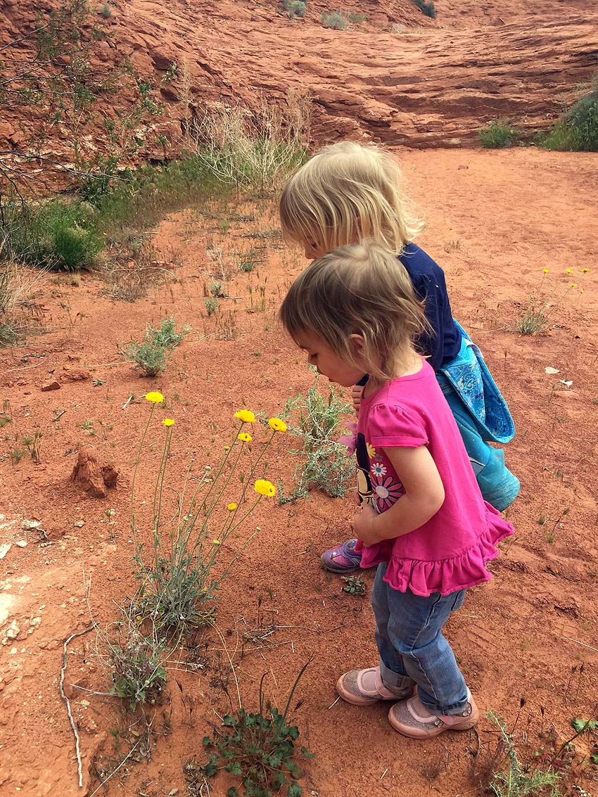 hiking snow kids & wildflowers