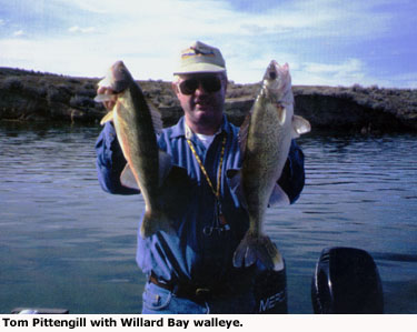 walleye tom pettengill