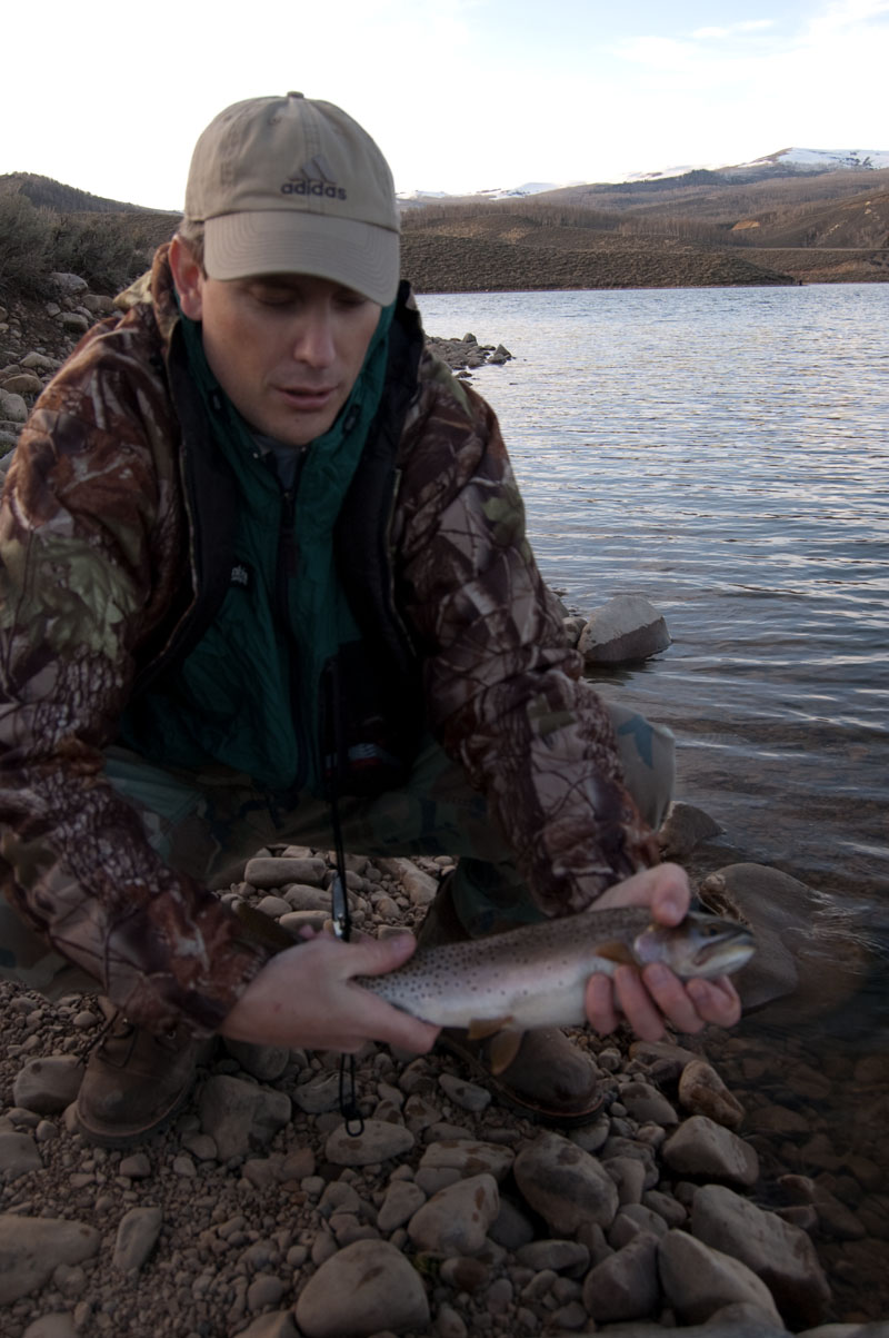 currant creek cutthroat trout
