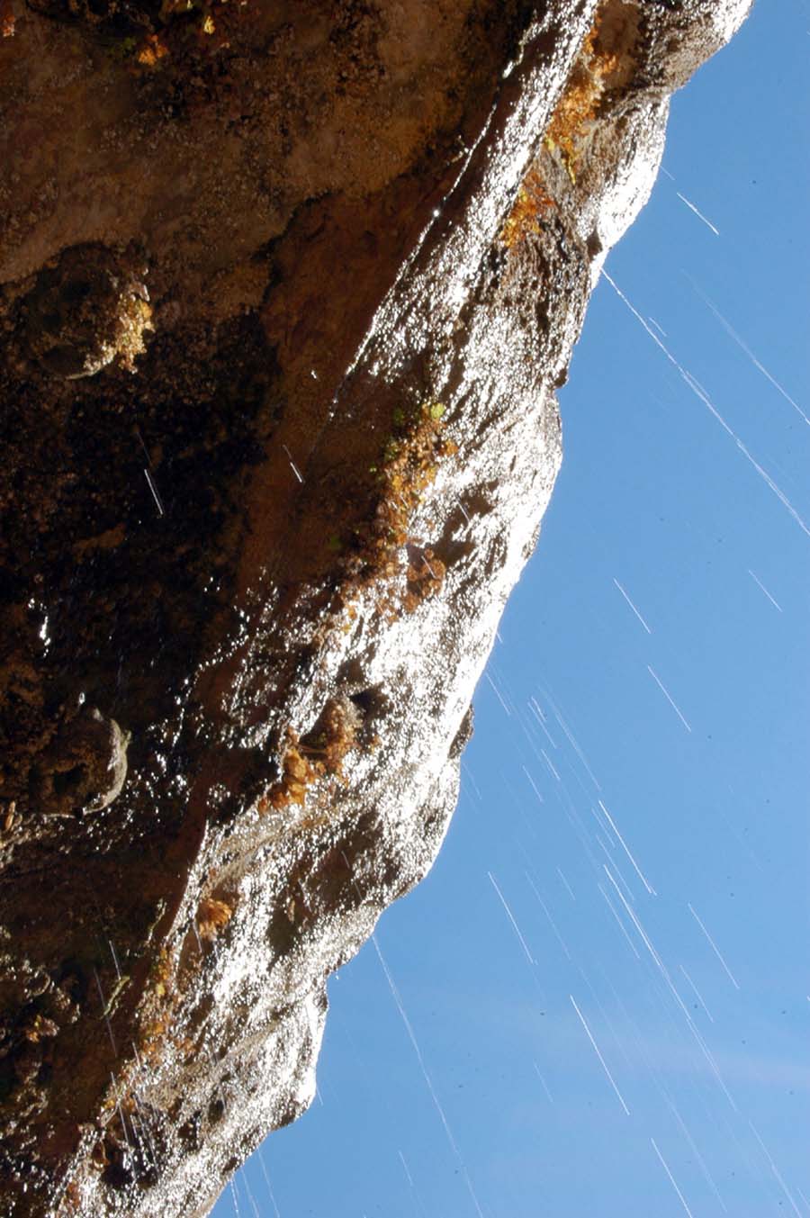 weeping rock