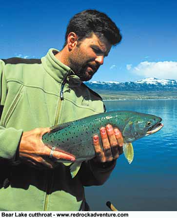Jigging for Cutthroat Trout at Bear Lake 
