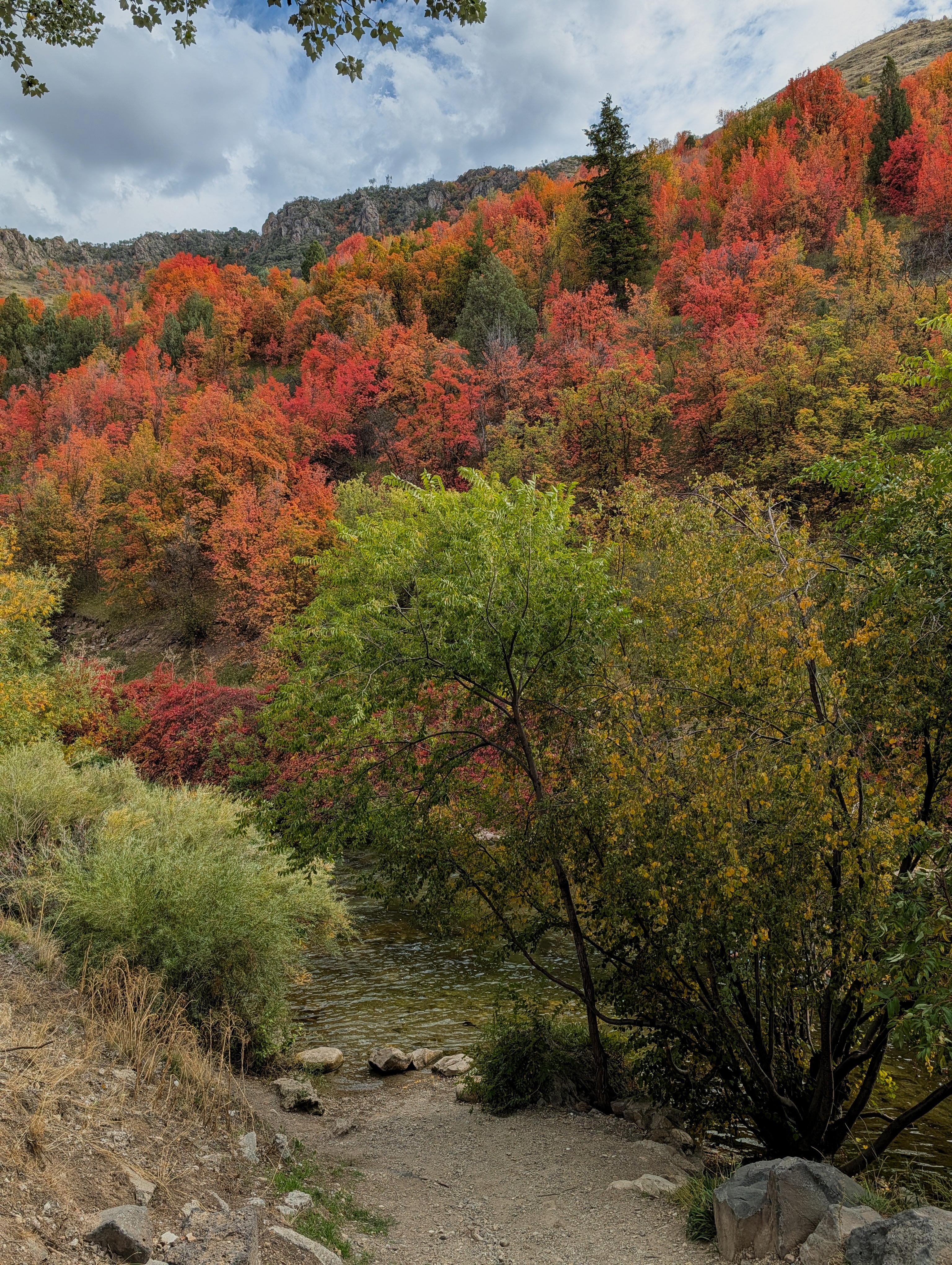 hillside-above-lava-hs.jpg
