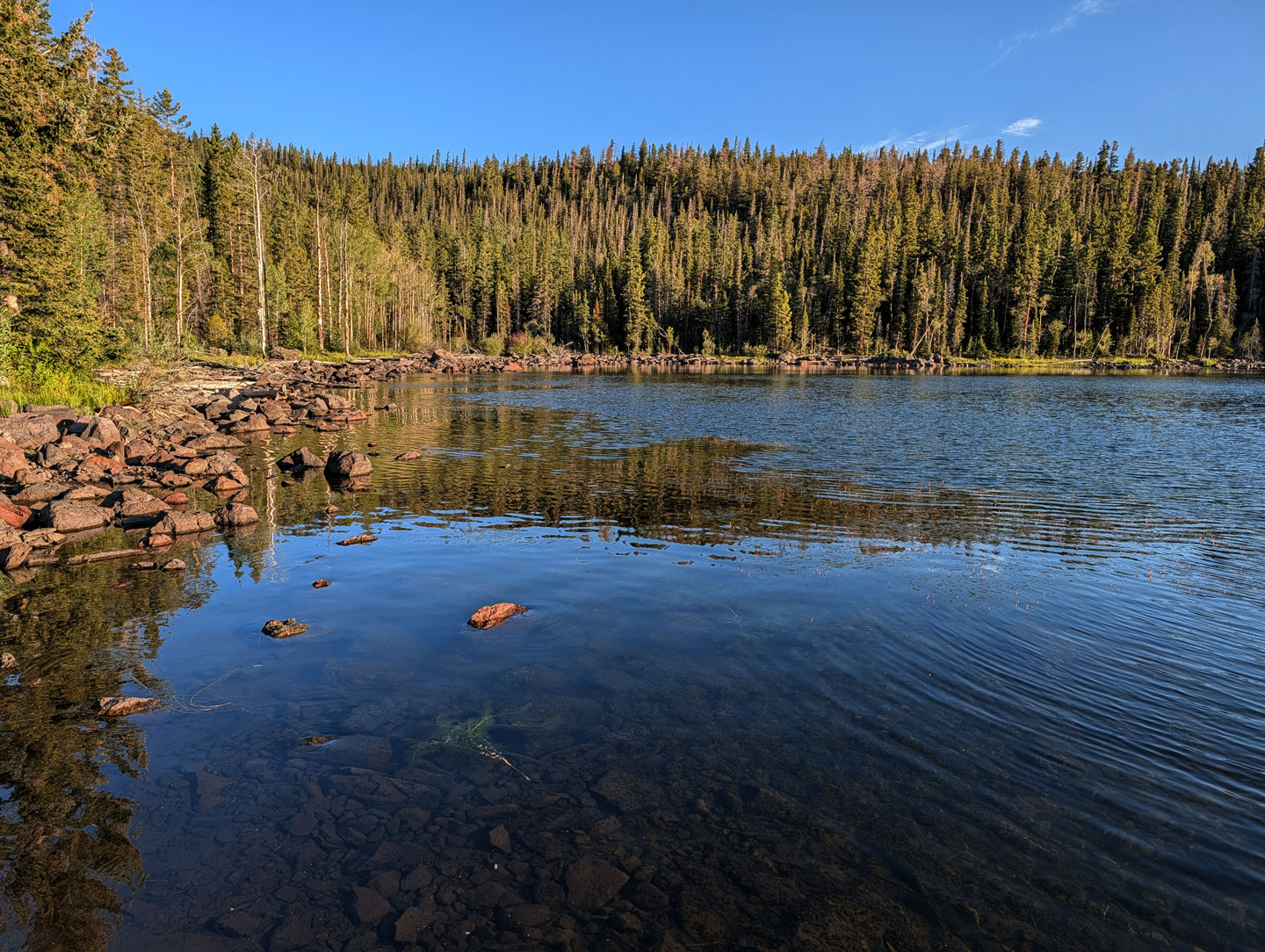 beaver-dam-reservoir.jpg