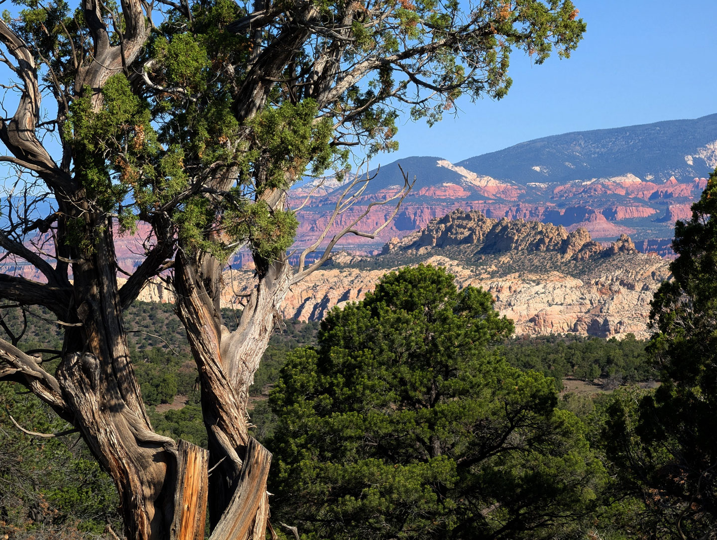 boulder-mtn-view-north.jpg