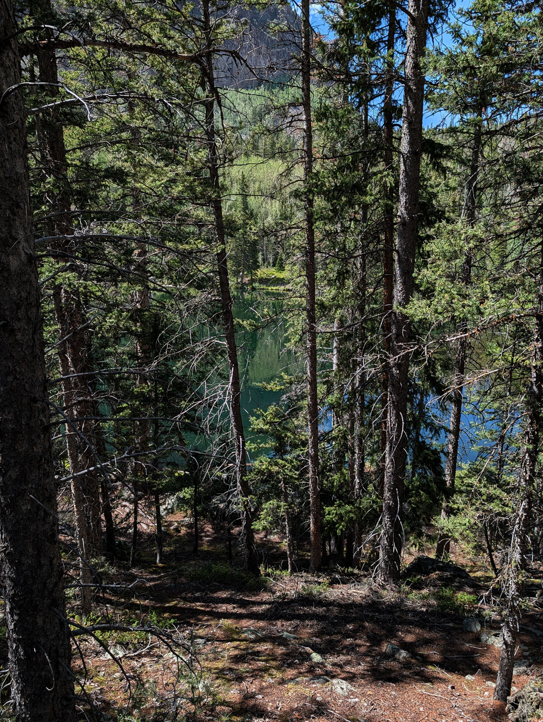 honeymoon-lake-trees.jpg