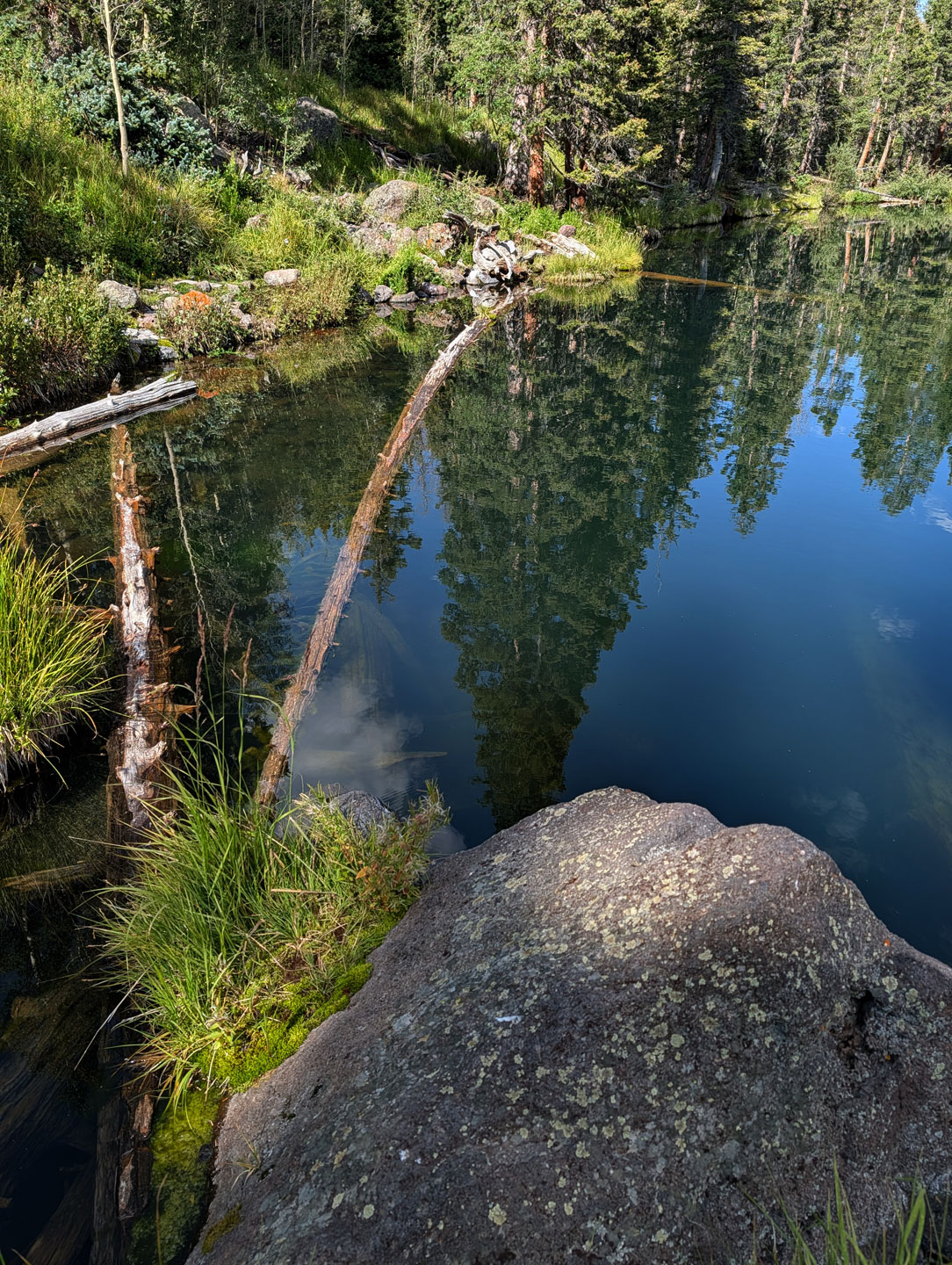 log-in-lake.jpg