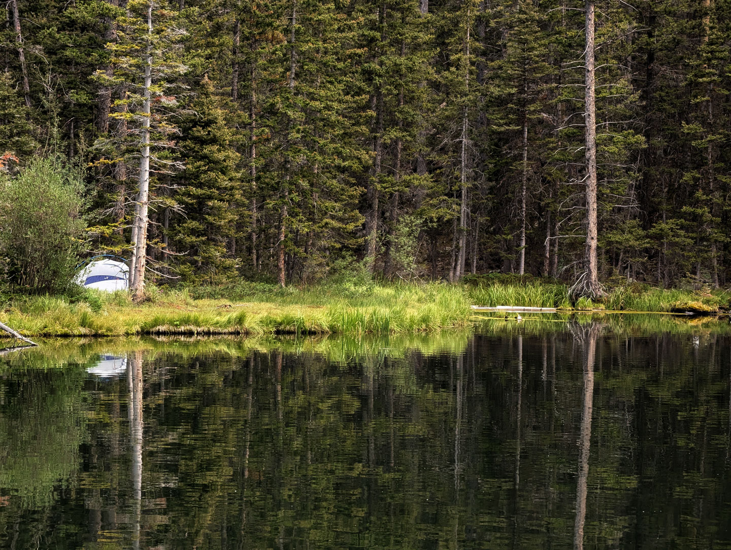 tent-across-lake.jpg