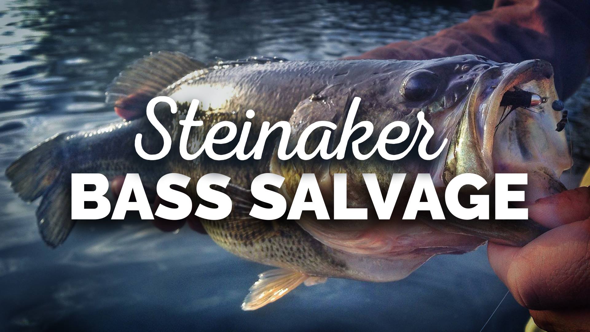 steinaker bass salvage