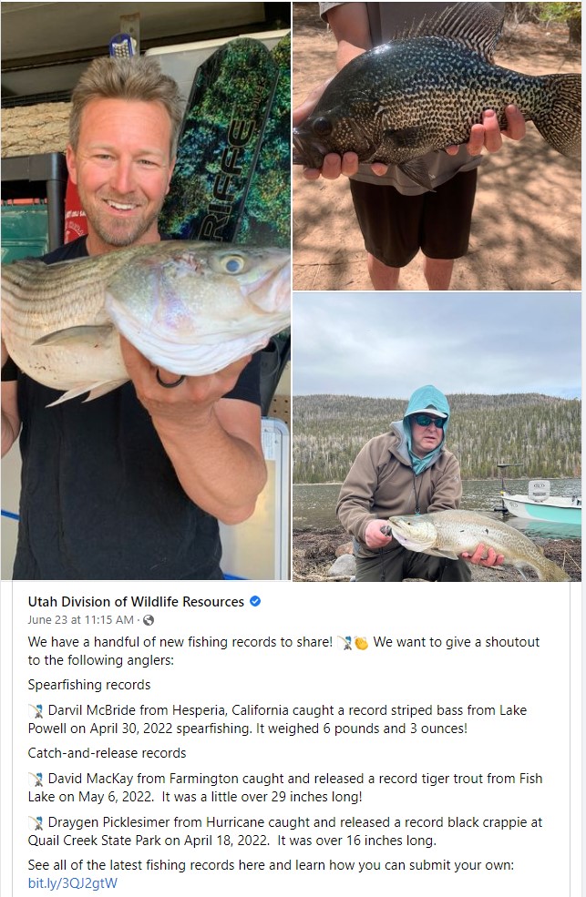 new utah fishing records 2022