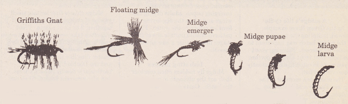 Anglers Entomology: The Midge 
