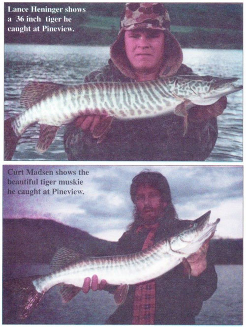 Pineview - How to Catch Tiger Muskie 