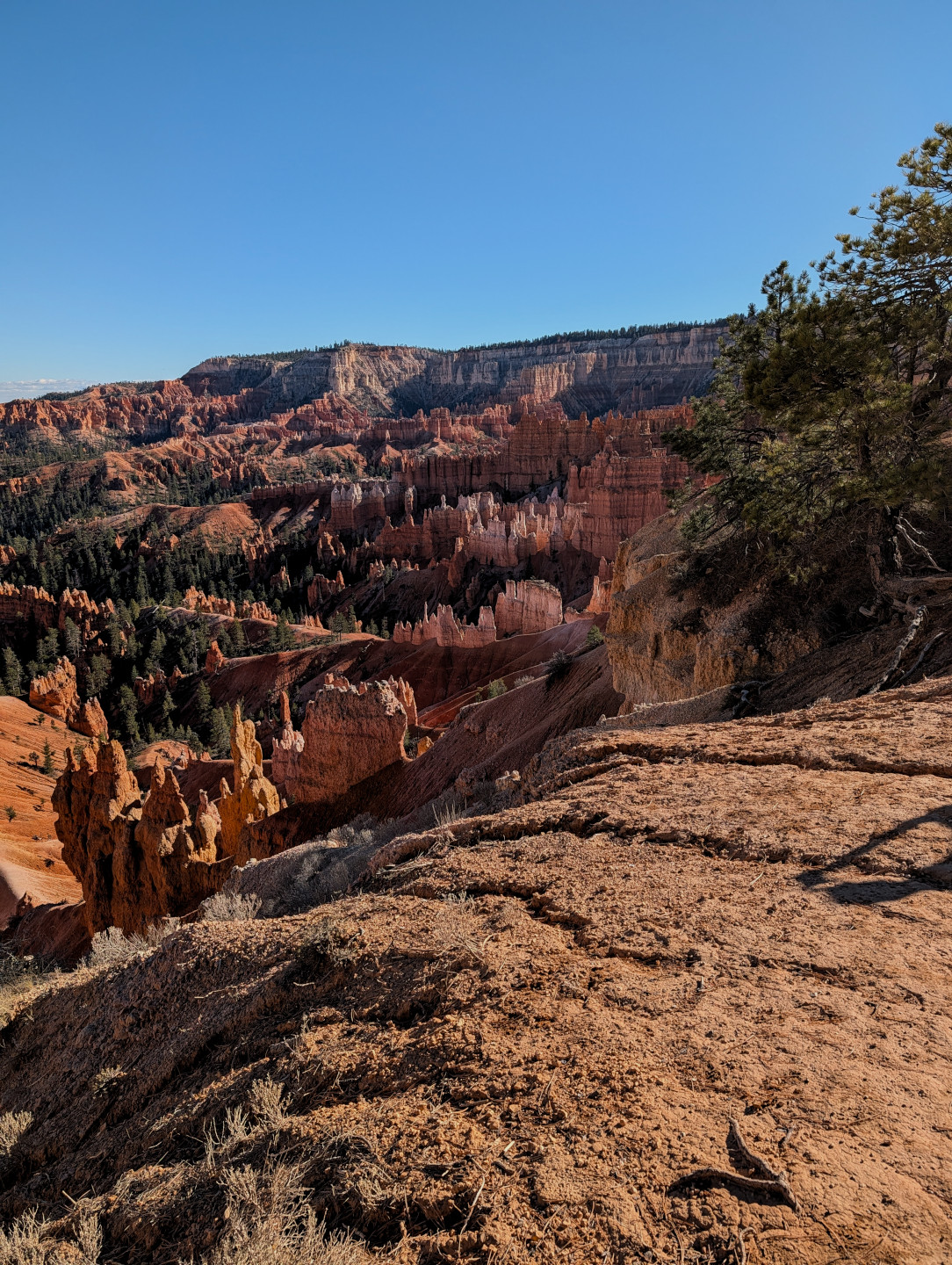 bryce-landscape.jpg