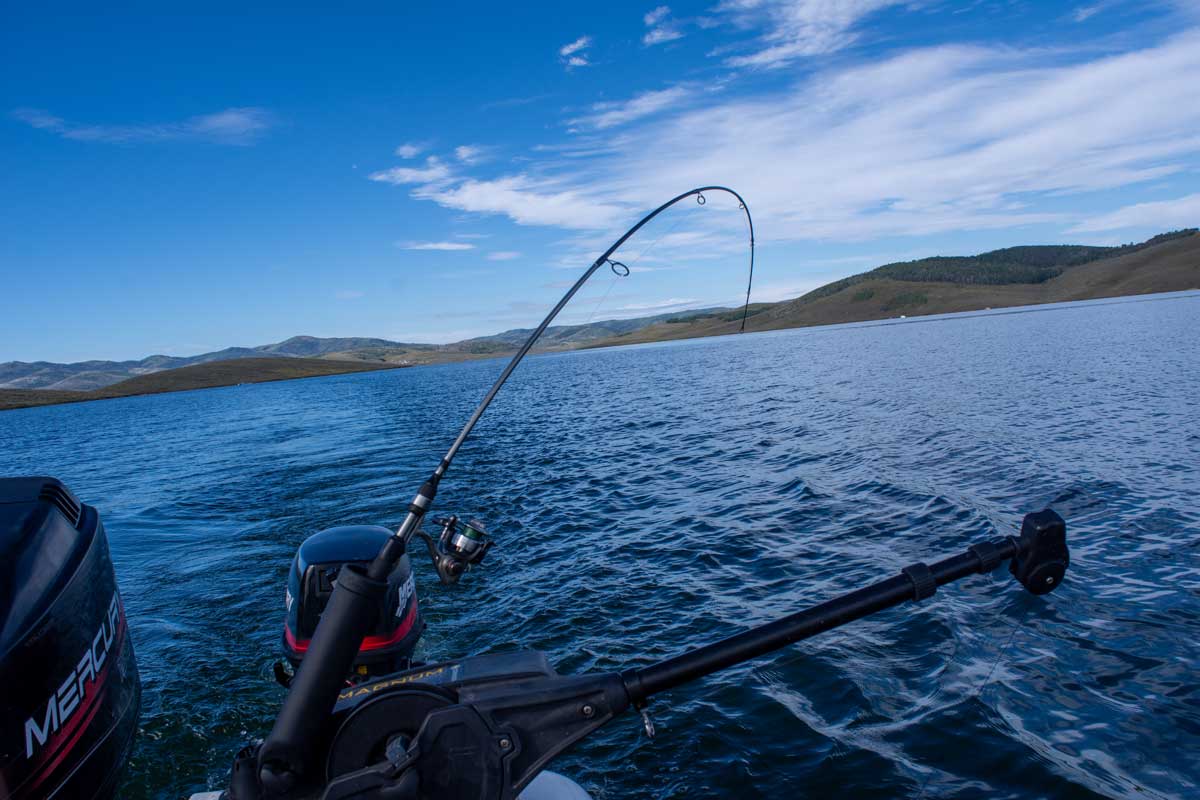 strawberry reservoir troll