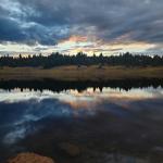 Boulder Top Late Summer Brookies