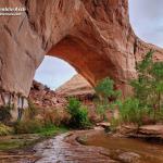 Coyote Gulch Spring Hike Video